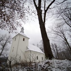 Wola Nizna